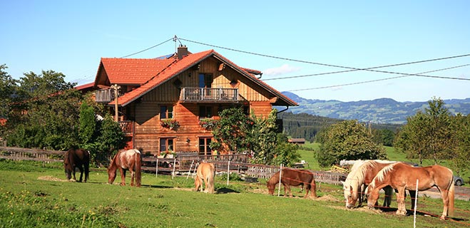 bio ferienhof koegel im allgaeu