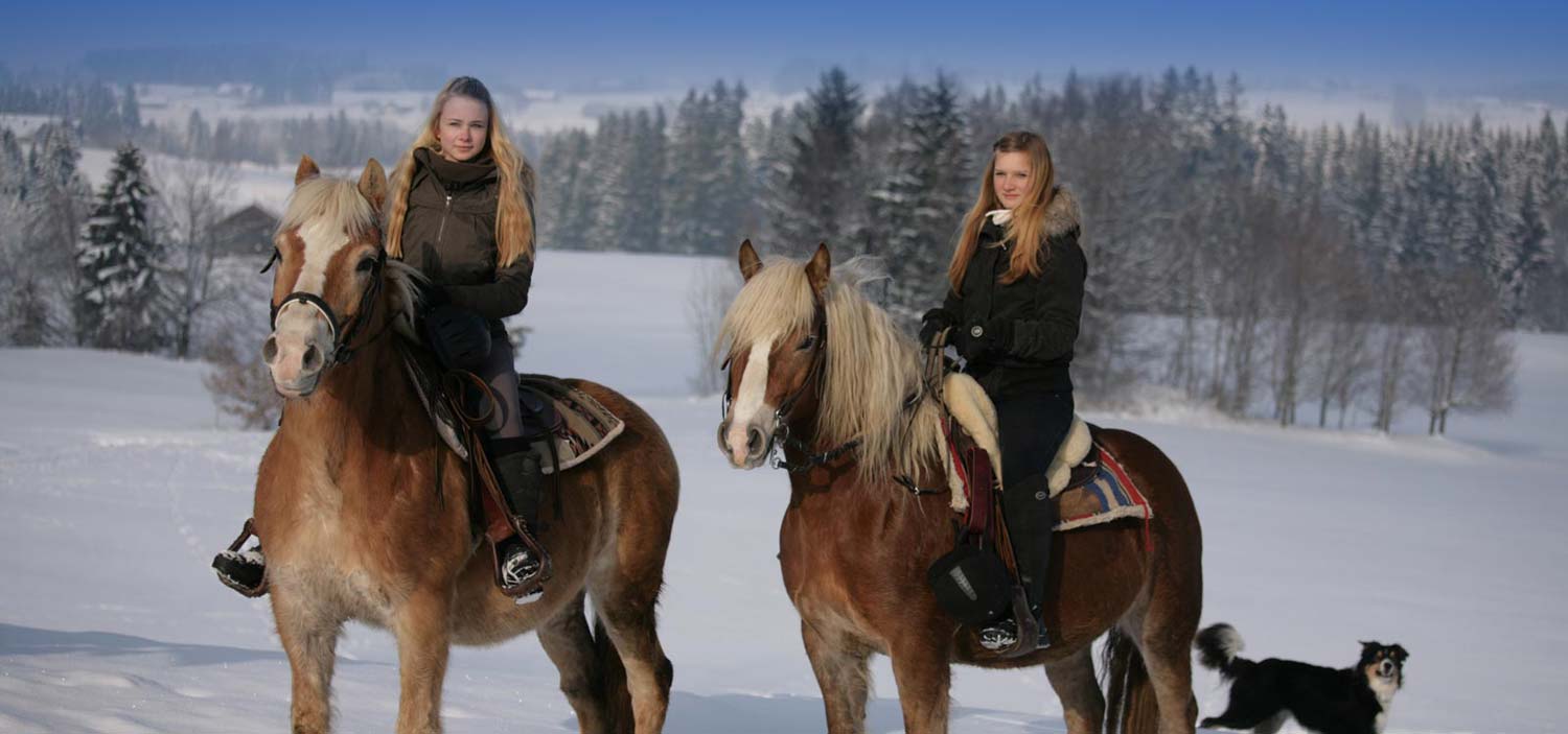 Reiten-Winter.jpg